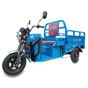 【ML-1000W-GB1】Electric 3 wheels tricycles near me price