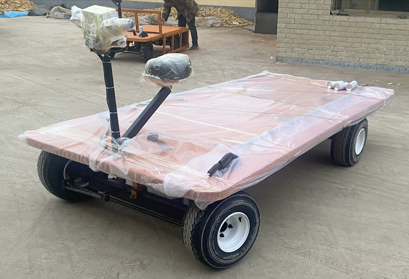 Customized electric trolleys