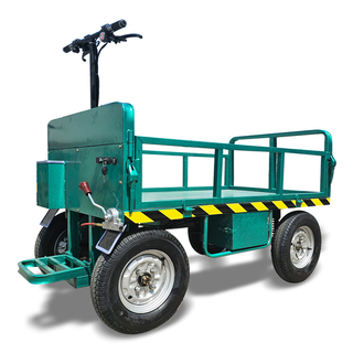 Electric trolley